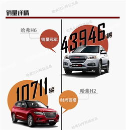 網通社汽車佳木斯安信 專業銷售服務，驅動龍江出行新體驗